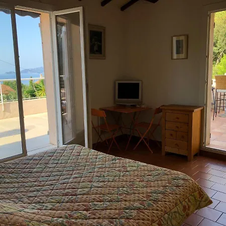Avec Piscine Au Lavandou Dans Jardin Mediterraneen Villa