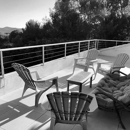 Avec Piscine Au Lavandou Dans Jardin Mediterraneen * Le Lavandou