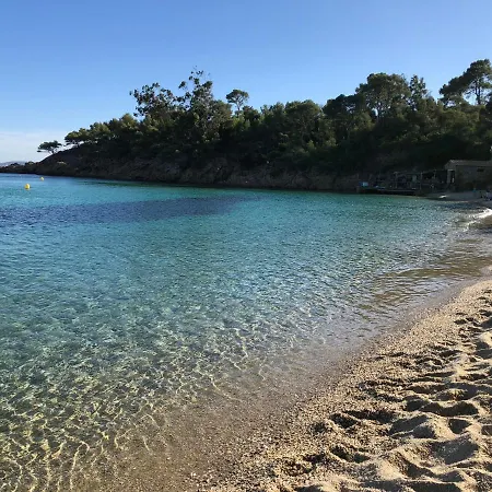 Villa Avec Piscine Au Lavandou Dans Jardin Mediterraneen