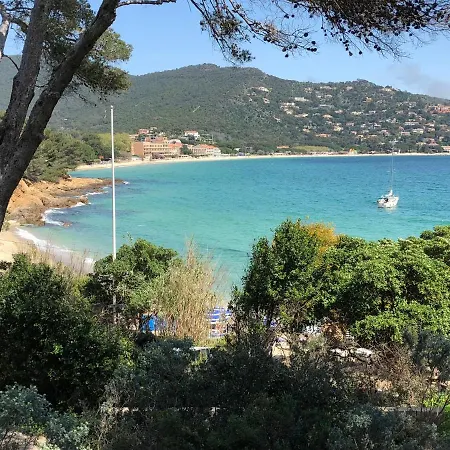 Avec Piscine Au Lavandou Dans Jardin Mediterraneen * Le Lavandou
