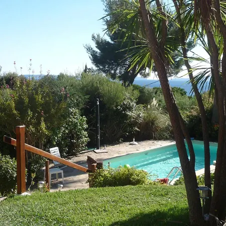 Avec Piscine Au Lavandou Dans Jardin Mediterraneen *