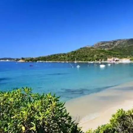Avec Piscine Au Lavandou Dans Jardin Mediterraneen Villa *